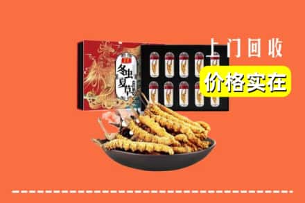 铁锋区回收冬虫夏草