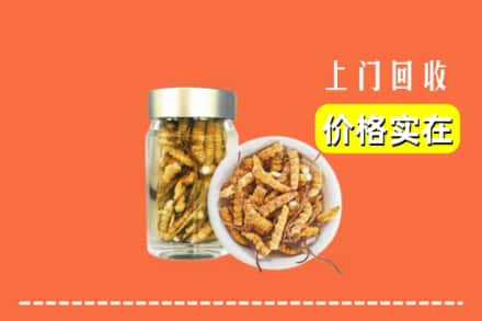 铁锋区回收散虫草