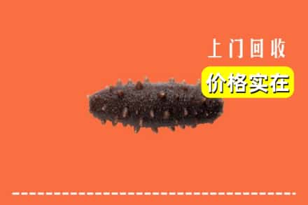 铁锋区回收海参