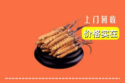 铁锋区回收冬虫夏草